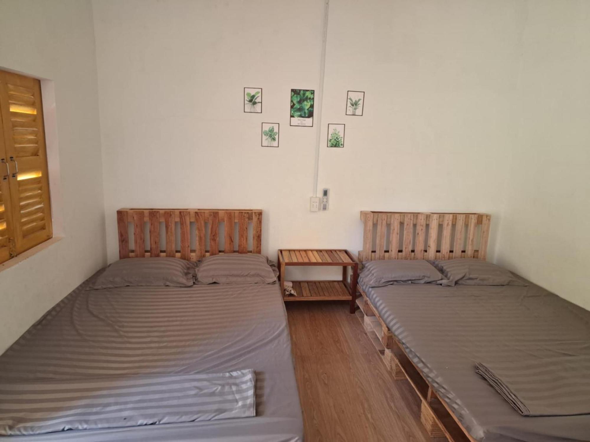 טוי הואה Homestay Dat Phu מראה חיצוני תמונה