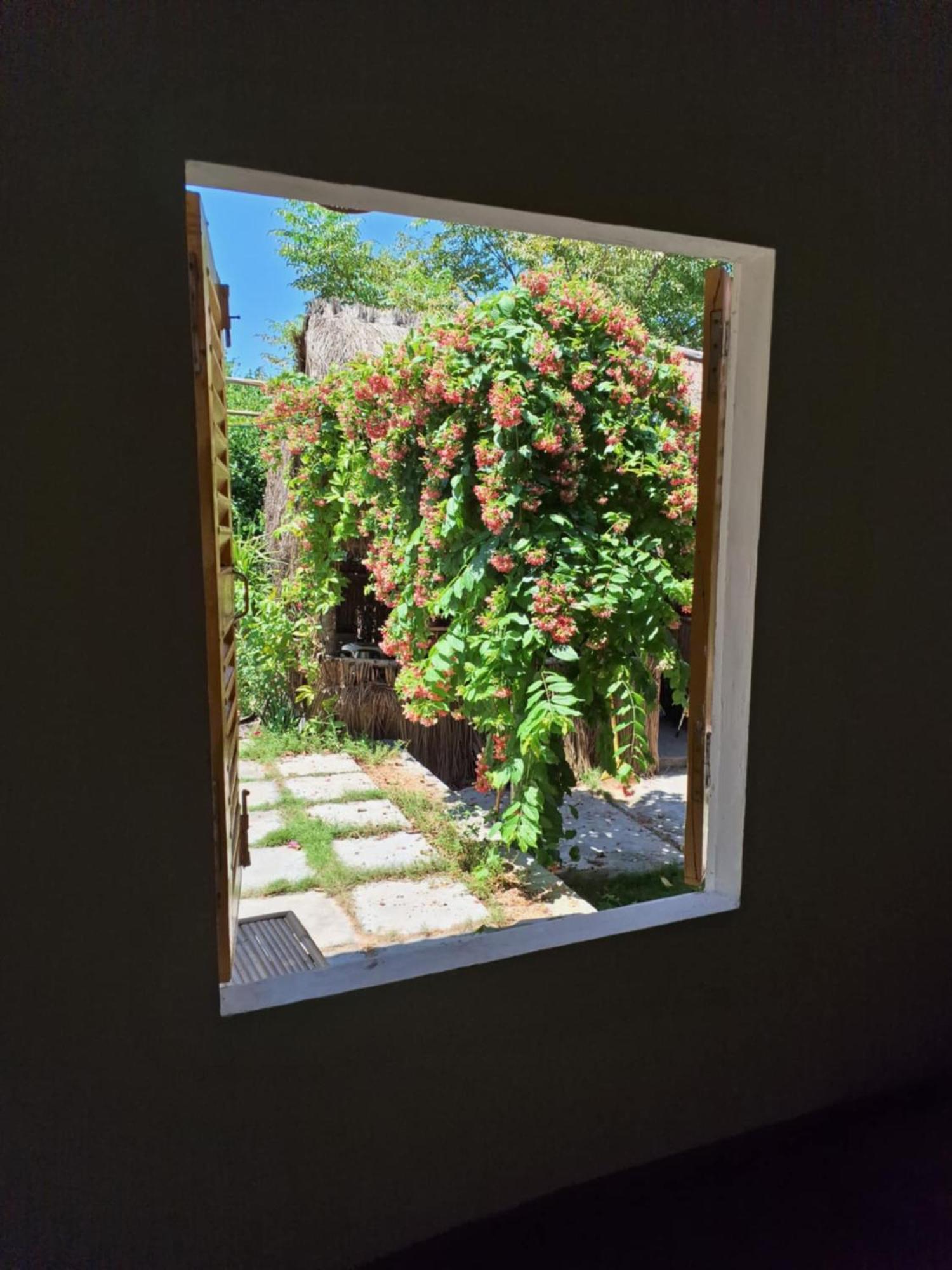 טוי הואה Homestay Dat Phu מראה חיצוני תמונה