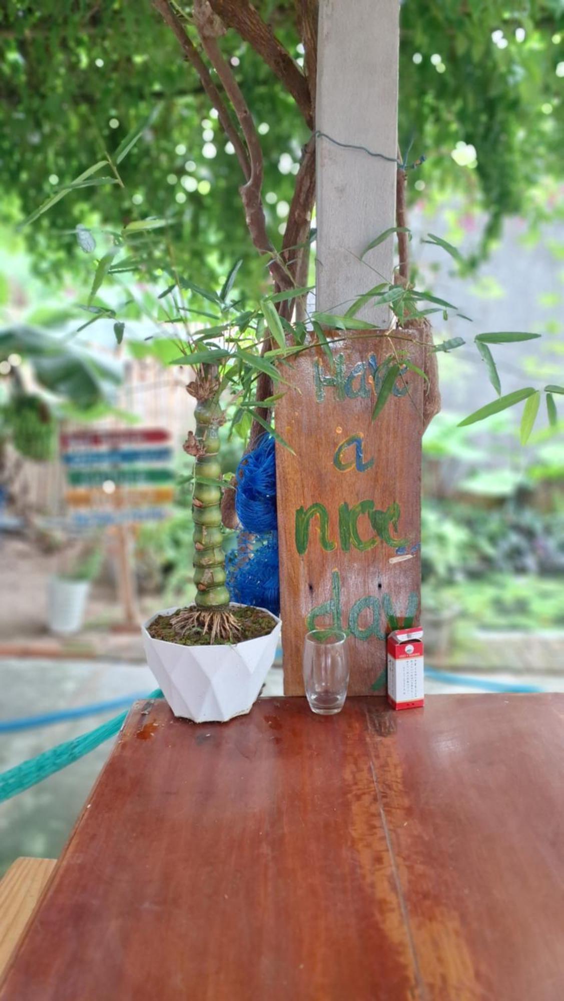 טוי הואה Homestay Dat Phu מראה חיצוני תמונה