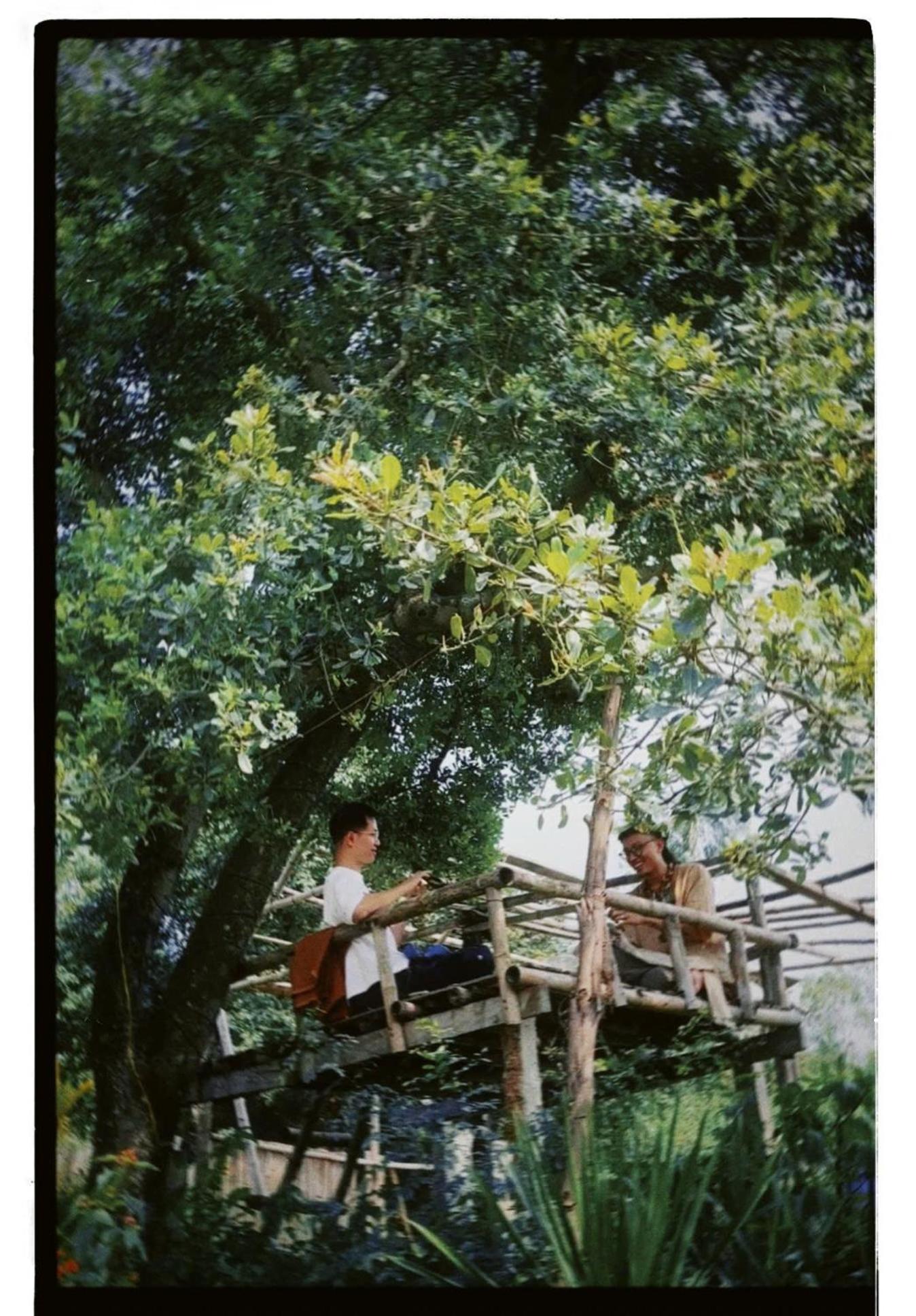 טוי הואה Homestay Dat Phu מראה חיצוני תמונה